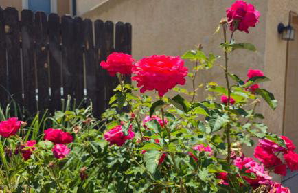 The Plaza - An Irvie Home w Summer Pool - Photo 28