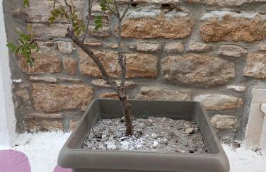 Dora's House - Foto 33