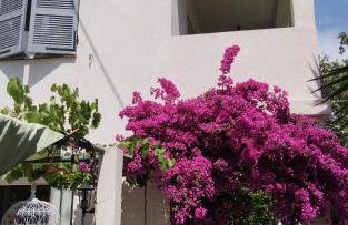 Appartement indépendant dans villa, entre Fréjus et St Raphaël - Foto 1
