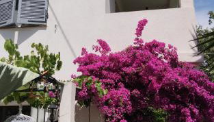 Appartement indépendant dans villa, entre Fréjus et St Raphaël - Foto 1