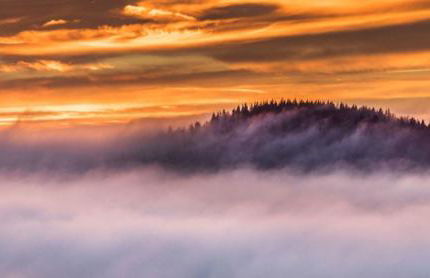 Ferienwohnung Rotbuche - Foto 39