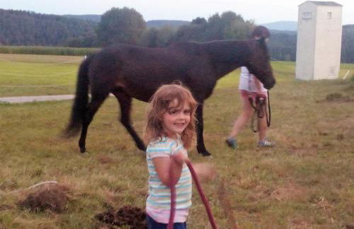 Ferienhof Landhaus Michael - Foto 58