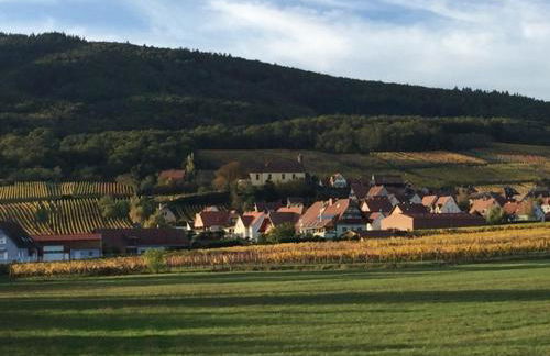 Les papillons - Foto 1