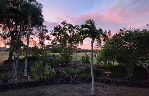 Hau' Oli' Io - Foto 37