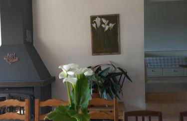 Les hirondelles - Foto 13