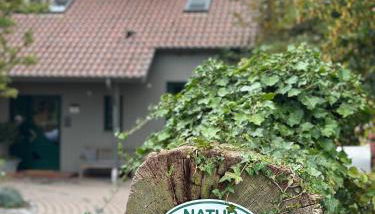 kleines Haus - Foto 2, Garden