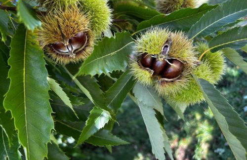 Garda Lake Panorama Villa with Garden & BBQ - Foto 55
