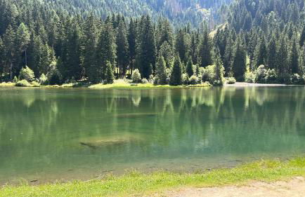 Casa Daolasa Val di Sole Trentino - Photo 2