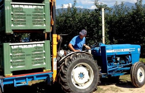 Millenniumshof - Foto 42