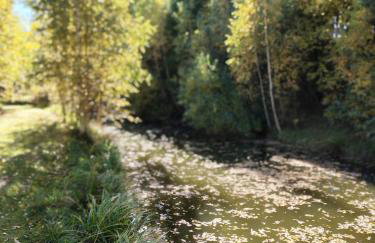 Kolorowe Wzgórze Zagórze - Foto 36