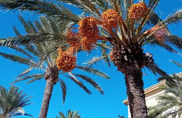 Casa Vikingo - Foto 28