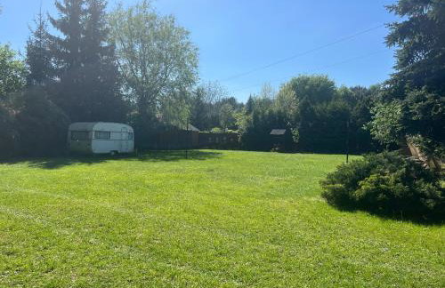 Leśny Zakątek - Foto 23