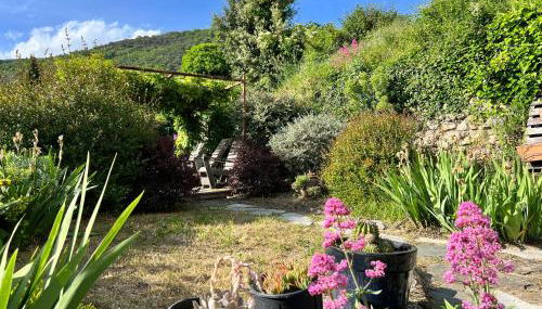 La Lusette-Malaparade - Foto 2, Garden