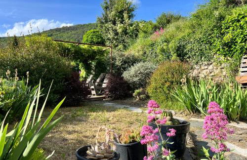 La Lusette-Malaparade - Foto 2