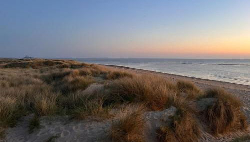 La glycine baie du Mont St Michel - Foto 4