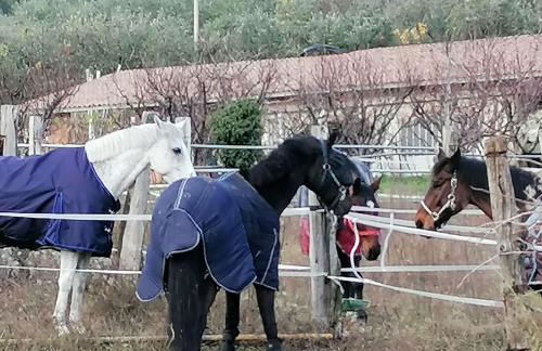 Agriturismo Andreis Alloggi - Foto 11