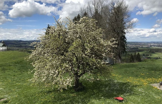 Apartment in the Waxenegg Country House - Photo 31