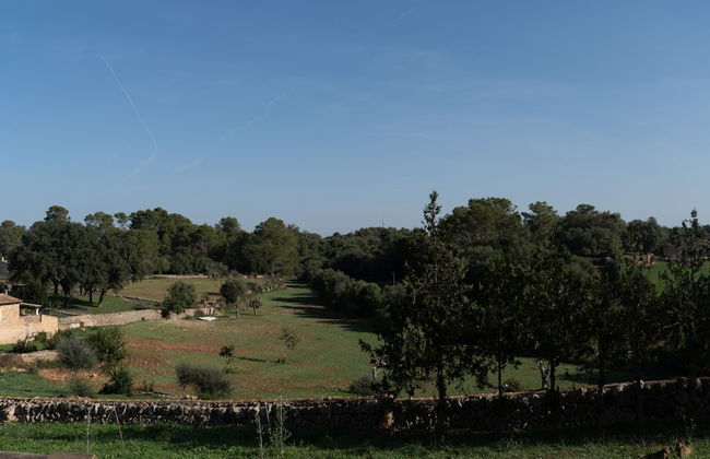 Agroturismo Ses Illes - Photo 67