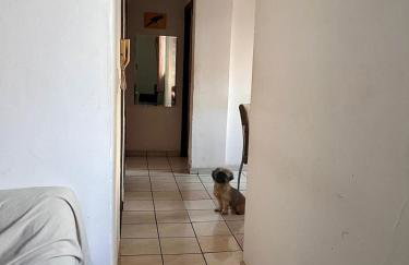 Condomínio Amarelo - Foto 8