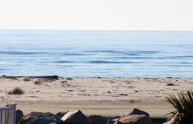 796 Marlin Dr - Photo 57