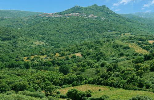 Holiday Home Stazzo mit Garten in Luogosanto by Interhome - Foto 10