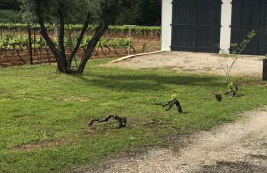 Maison Loubiere - Foto 19