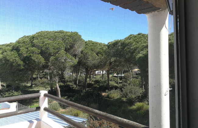 Villaconil - Foto 40