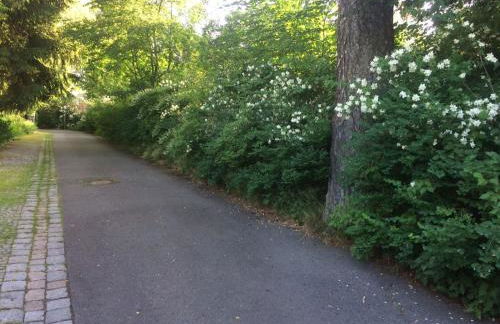 Villa Bergmann - Foto 28