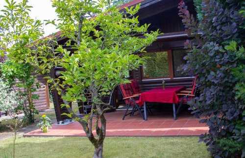 Ferienhaus, Suhlendorf - Foto 12