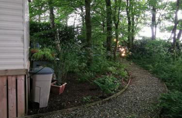 Doughery Den The Dark Hedges Hideaway - Foto 15