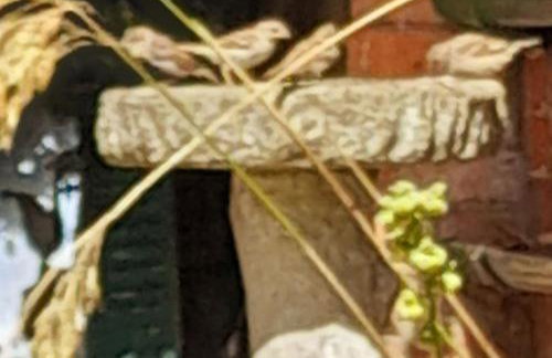 Rose Cottage, 2 Bedroom Cottage with character, near Southwold - Photo 39