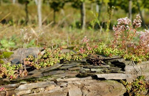 Ferienwohnung Im Bachtal - Foto 63