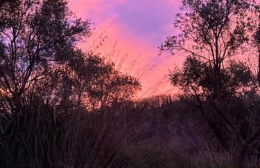 Bed en bubbels bennie en liisa - Foto 23