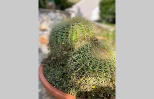 Luxury Villa with swimming pool - Foto 9