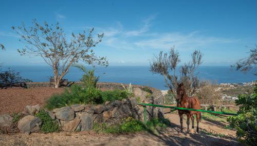 Finca Rural House Tenerife Relax - Foto 2