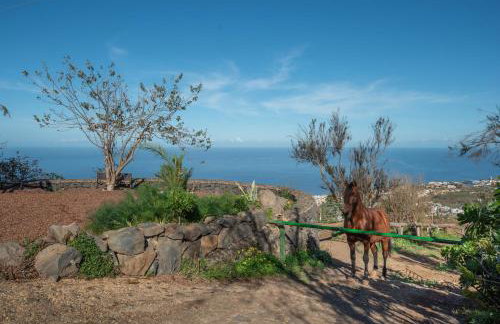 Finca Rural House Tenerife Relax - Photo 22