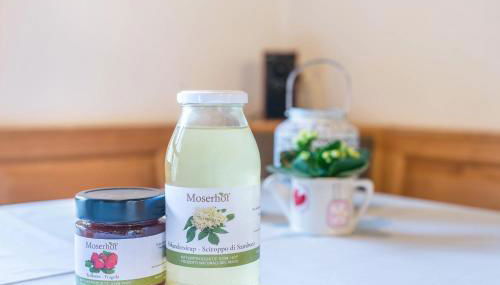 Moserhof Ferienwohnung Schartblick - Foto 4