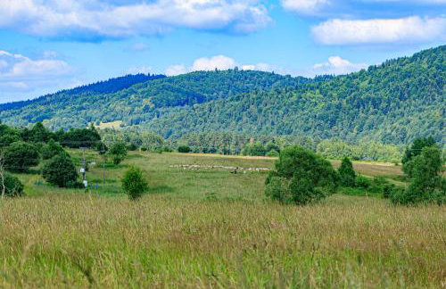 Domek u Anitki i Nikosia - Foto 35