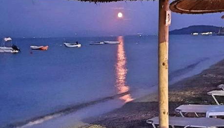 Corfu Olivia Apartments - Foto 5