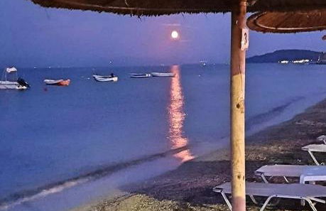 Corfu Olivia Apartments - Foto 5