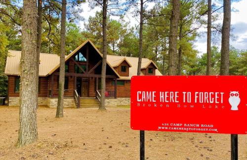 Came Here to Forget Cabin - Foto 2