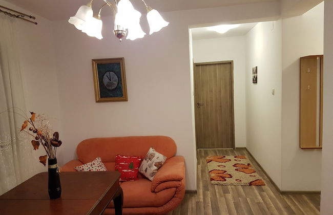 Rent Holding - Foto 43