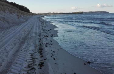 Finnhütte Bernstein - Foto 14