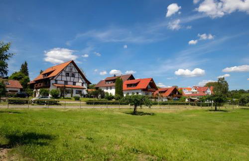 Weingut Geiger - Foto 5