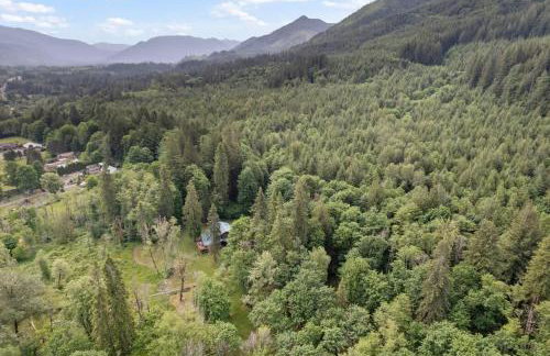 Iron Mountain - Spacious Secluded Lodge with Hot Tub & Game Room - Photo 78