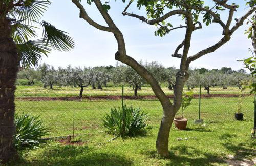 Apartment Geräumige Kellerwohnung in der Nähe von Umag by Interhome - Foto 14