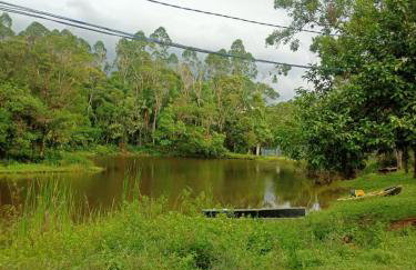 Sitio Lady Laura Biritiba Ussu Mogi - Foto 21