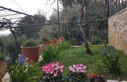 HoneyHouse - Photo 27