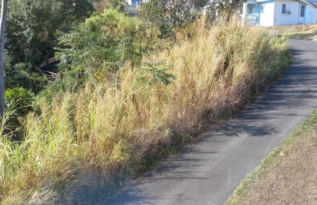 Aguada Farm & Eco-Lodge - Photo 14