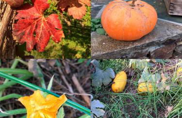 Lagar de Beuvas - Foto 33